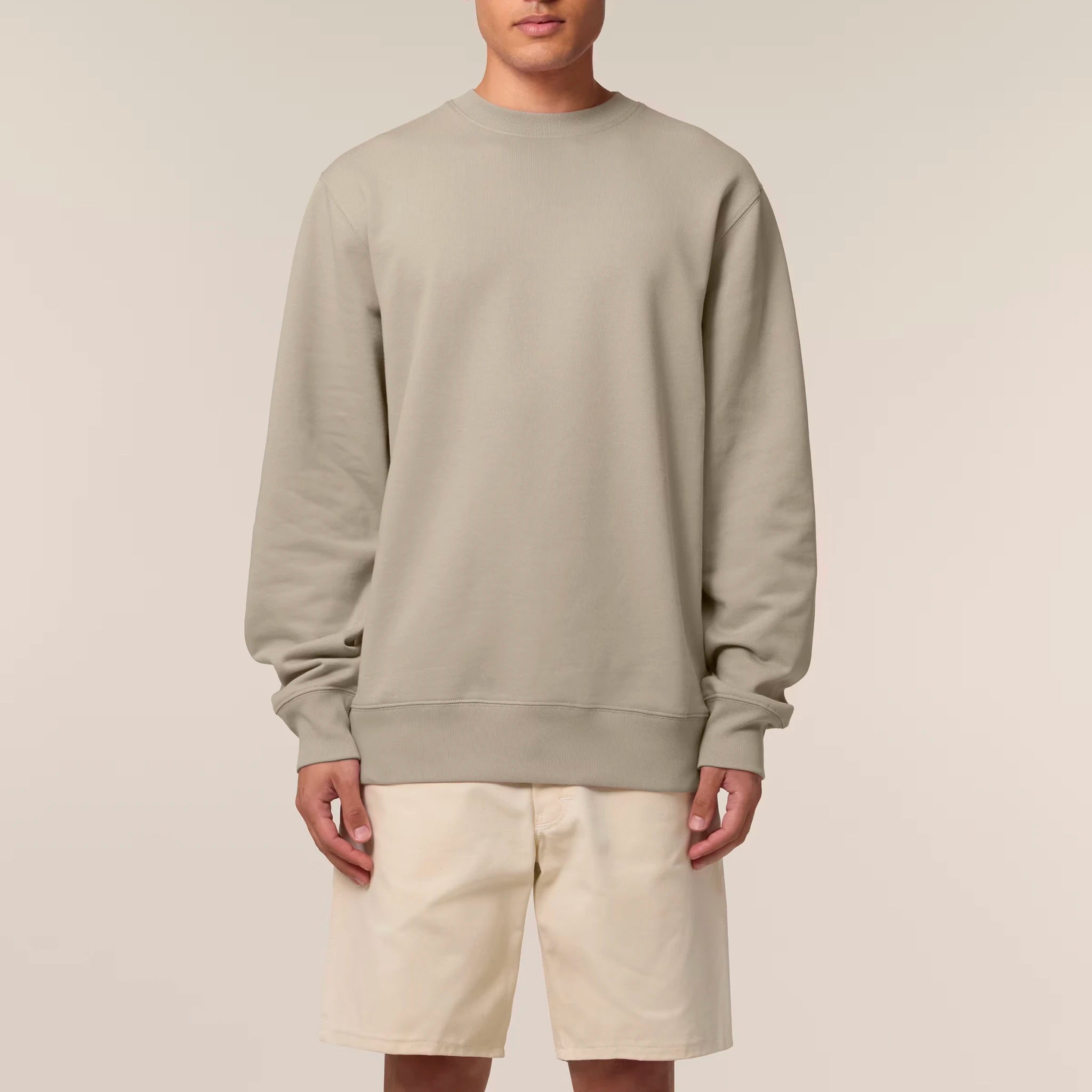 Unisex Heavyweight Organic Sweatshirt Stone model male front Control Tool