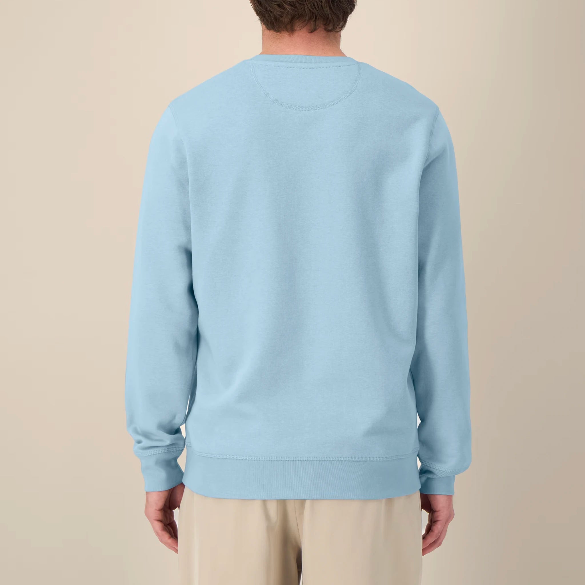 Unisex Midweight Recycled Sweatshirt Sky Blue model male back Bend Not Break